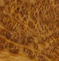 Стеновые панели из дерева Камфора корень